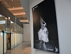 «Большое Савино» отмечает Международный день театра фотовыставкой театра оперы и балета